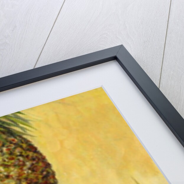 Pineapple Girl, 2004 by Tilly Willis