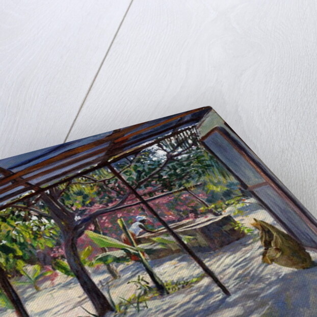 Morning Shadows, 2004 by Tilly Willis