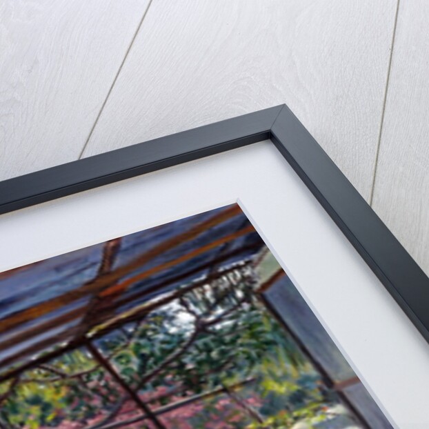 Morning Shadows, 2004 by Tilly Willis