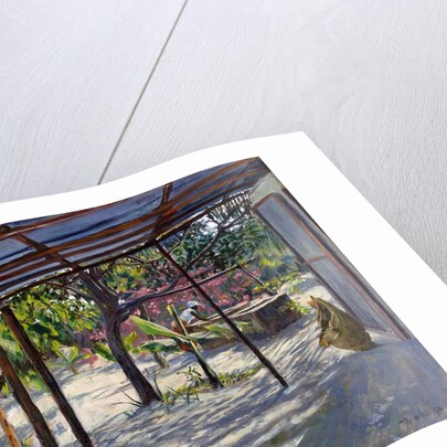 Morning Shadows, 2004 by Tilly Willis