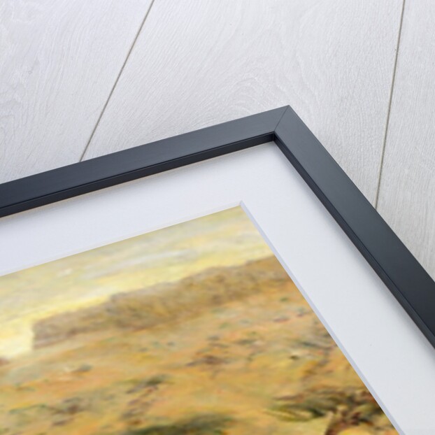 Sahelian Landscape, 2002 by Tilly Willis