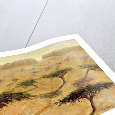 Sahelian Landscape, 2002 by Tilly Willis