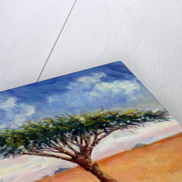 Homeward Bound, 2004 by Tilly Willis