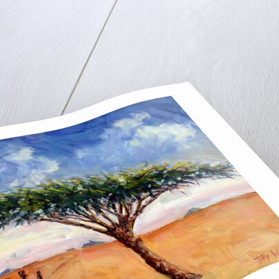 Homeward Bound, 2004 by Tilly Willis