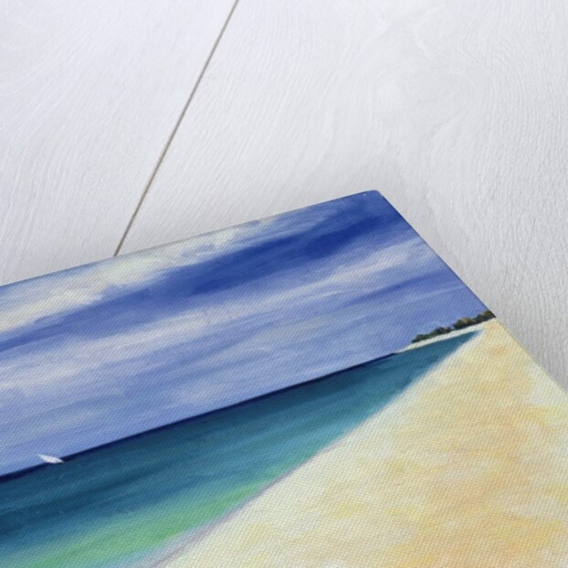 Indian Ocean II, 1995 by Tilly Willis