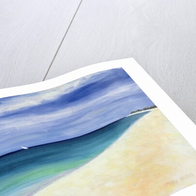Indian Ocean II, 1995 by Tilly Willis
