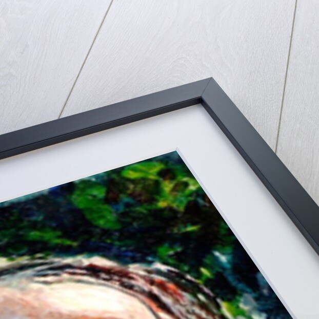 Sokoro, 2006 by Tilly Willis