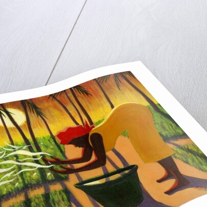 The Spirit Garden, 2007 by Tilly Willis