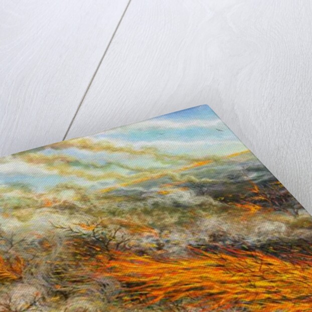 Blaze, 2016 by Tilly Willis