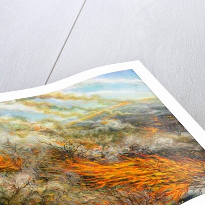 Blaze, 2016 by Tilly Willis