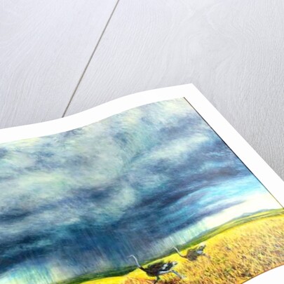 African Storm, 2016, by Tilly Willis