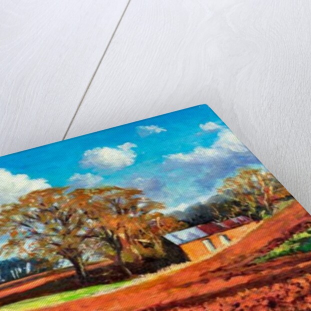 Country Barn, 2014 by Tilly Willis