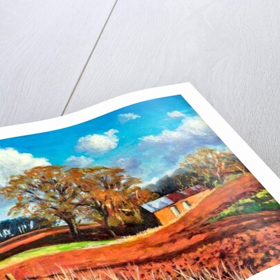 Country Barn, 2014 by Tilly Willis