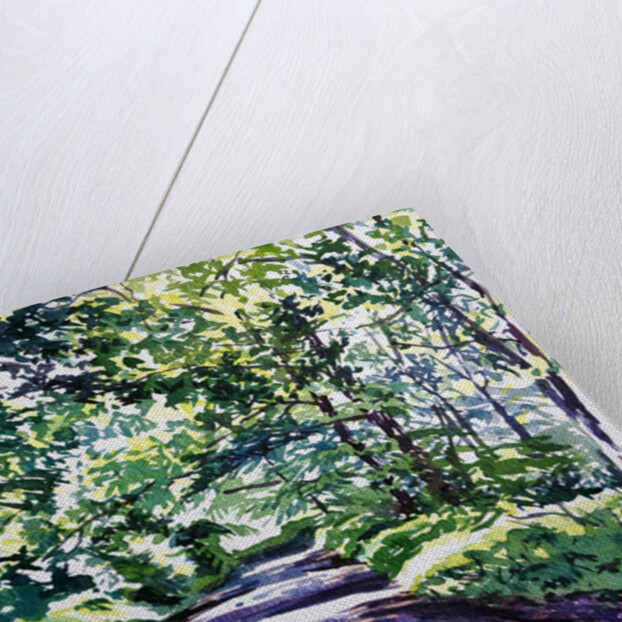 Woodland Road 2017 by Tilly Willis