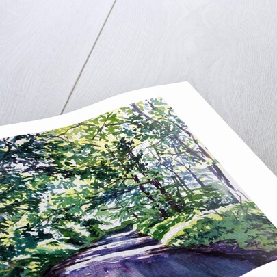 Woodland Road 2017 by Tilly Willis