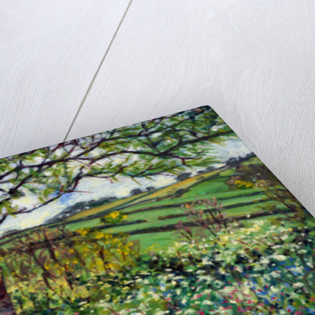 Across the Fields by Tilly Willis