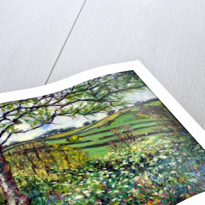 Across the Fields by Tilly Willis