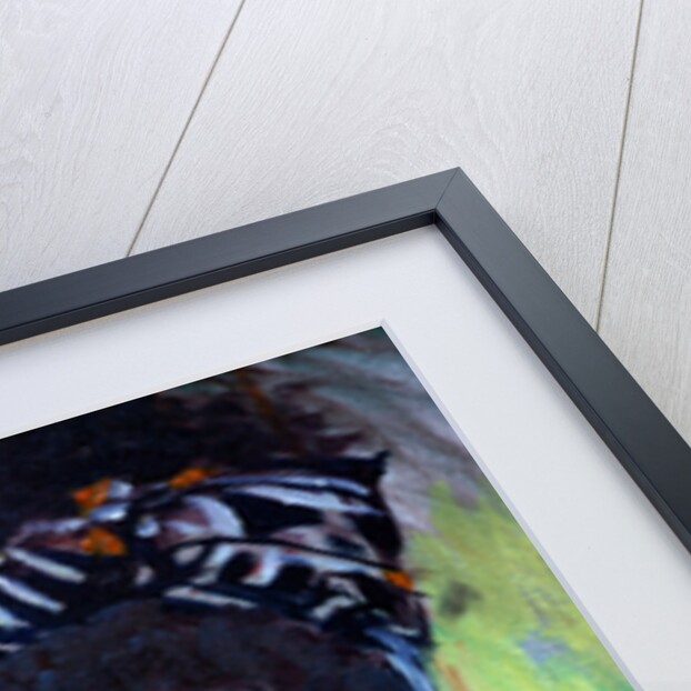 Teenage Girl by Tilly Willis