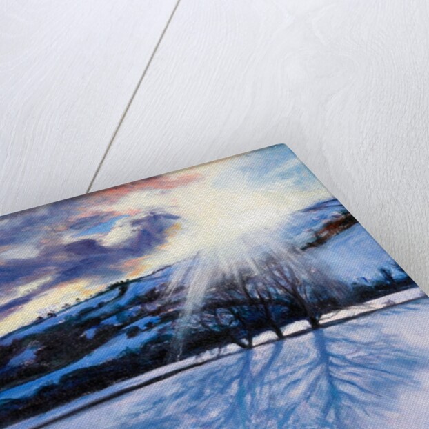 Snow Shadows, 2009 by Tilly Willis