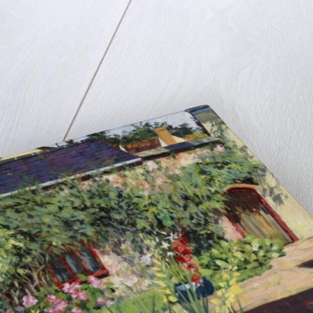 Summer Garden, 2009 by Tilly Willis