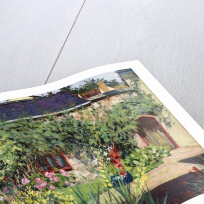 Summer Garden, 2009 by Tilly Willis