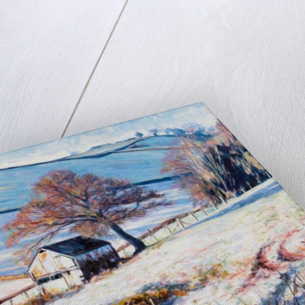 Winter Frost, 2009 by Tilly Willis