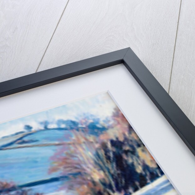 Winter Frost, 2009 by Tilly Willis