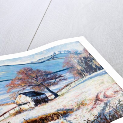 Winter Frost, 2009 by Tilly Willis