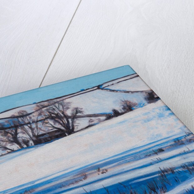 Snow Shadows, 2010 by Tilly Willis