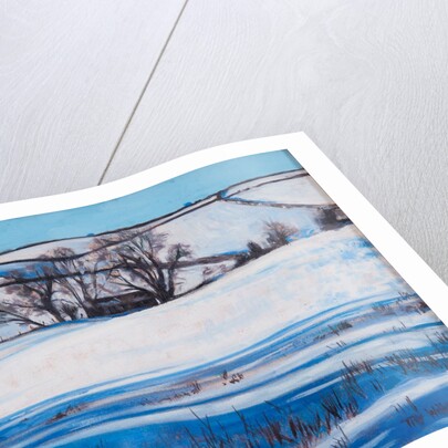 Snow Shadows, 2010 by Tilly Willis