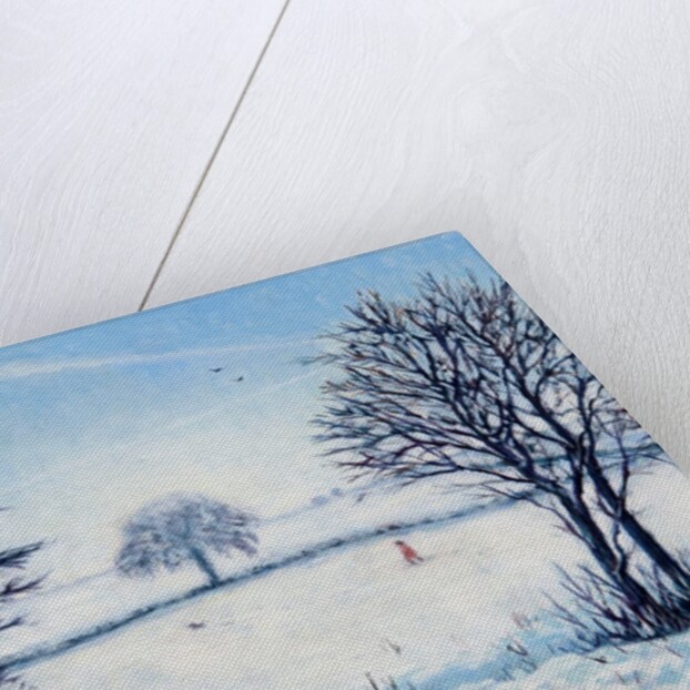 A Winters Walk by Tilly Willis