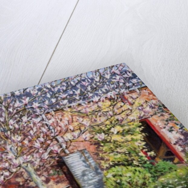 Under the Magnolia by Tilly Willis