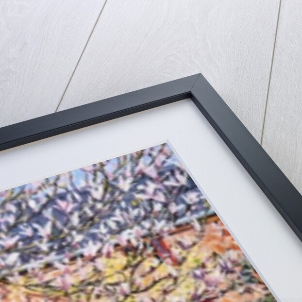 Under the Magnolia by Tilly Willis