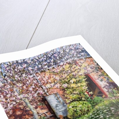 Under the Magnolia by Tilly Willis