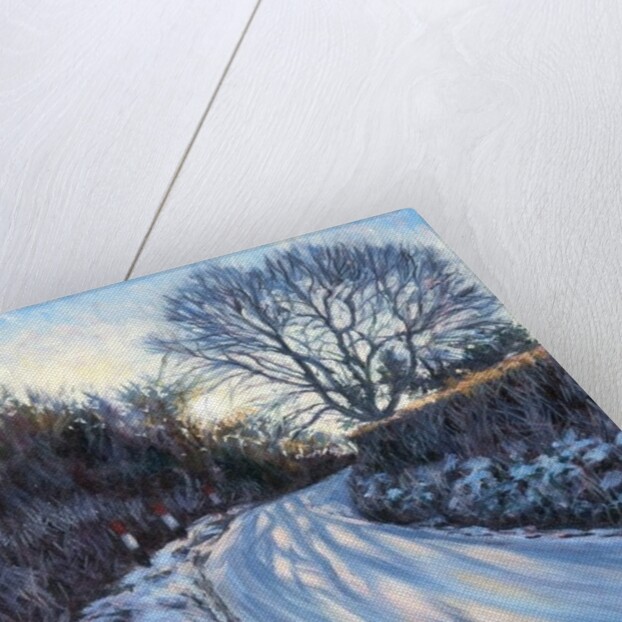 Winter Light by Tilly Willis