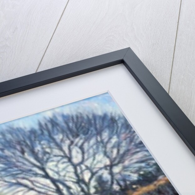 Winter Light by Tilly Willis