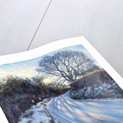 Winter Light by Tilly Willis