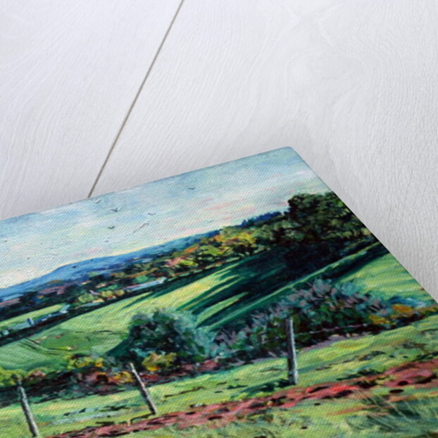 Blackdown View by Tilly Willis