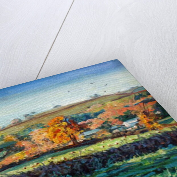 Autumn Light by Tilly Willis