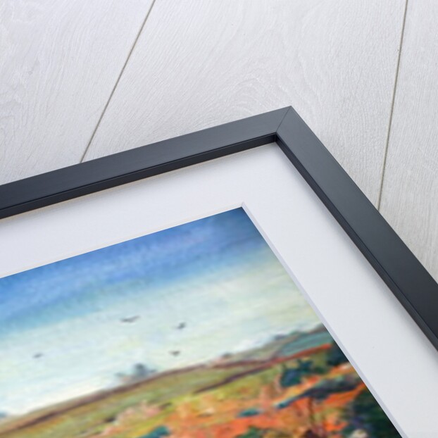 Autumn Light by Tilly Willis