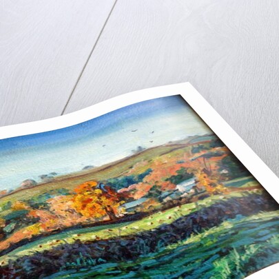 Autumn Light by Tilly Willis