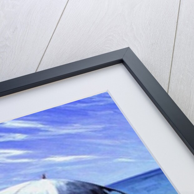 Into the Blue, 1993 by Tilly Willis