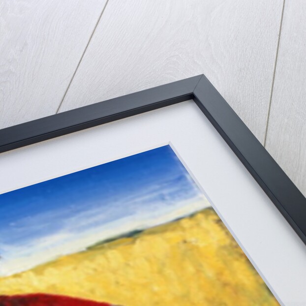 Girl in Red, 1992 by Tilly Willis