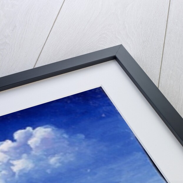 Under the Acacia Tree, 1991 by Tilly Willis