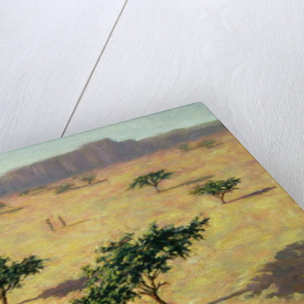 Sahelian Landscape, Mali, 1991 by Tilly Willis