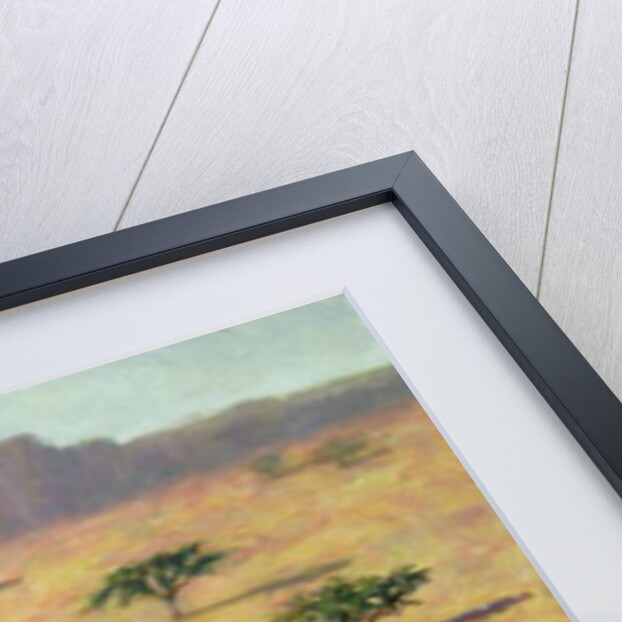 Sahelian Landscape, Mali, 1991 by Tilly Willis