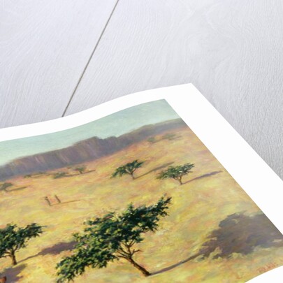 Sahelian Landscape, Mali, 1991 by Tilly Willis