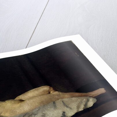 Female Figure Lying on Her Back, c.1912 [LDUCS-5204] by Dora Carrington