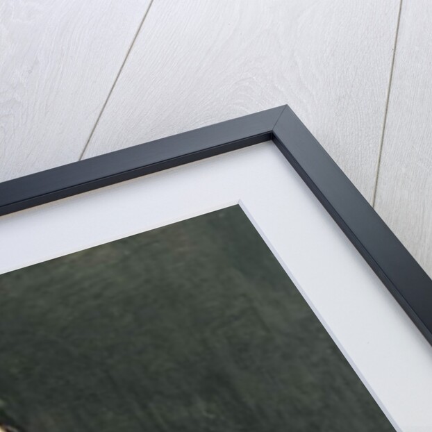 Portrait of a Girl Wearing a Green Dress, 1899 by William Orpen