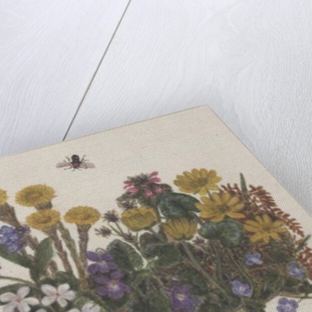 Purple and White Violets, Daisy, Celandine and Forget-me-not by Ursula Hodgson